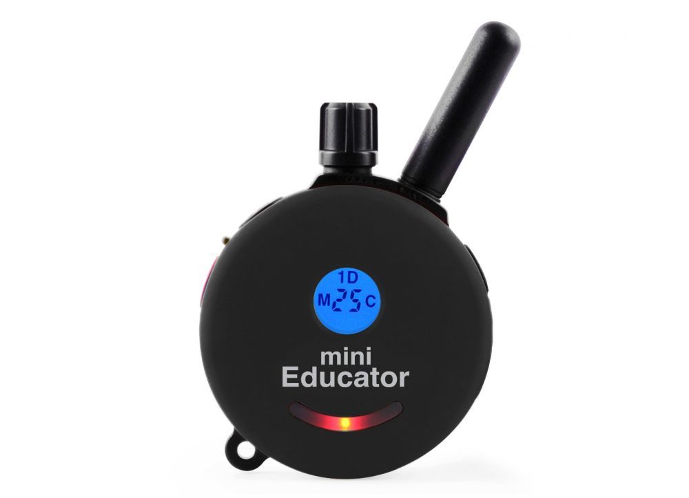 Used mini outlet educator