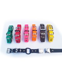 Biothane Bungee w/Quick Release Collar Strap 