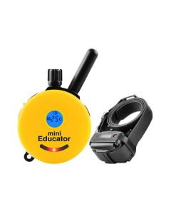 Mini Educator E Collar