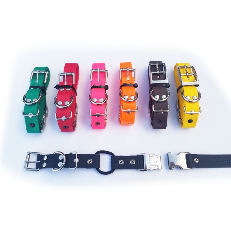 Biothane Bungee w/Quick Release Collar Strap ECollar Technologies