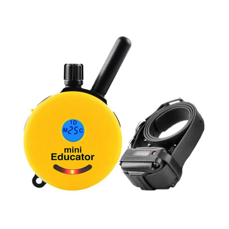 e collar micro educator