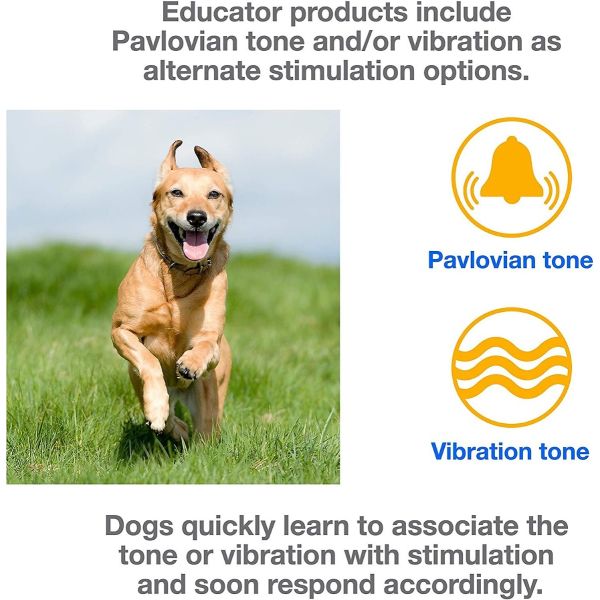 Mini educator 2 dog system hotsell